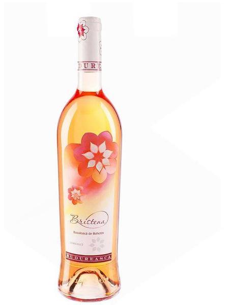 Bristena Busuioacă Bohotin